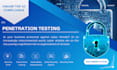 penetration test on your website with a professional report