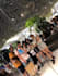 do anything in guangzhou china