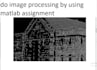 do image processing by using matlab assignment