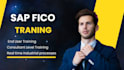 provide fico consultant level training