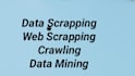 do web scraping, data mining, extraction and data collection