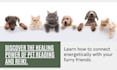 do pet psychic readings