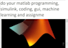 do  matlab programming, simulink, coding, gui, machine learning and assignme