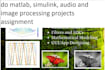 do matlab, simulink, audio and image processing projects assignment