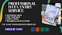 do data entry, web research, excel, admin support work, email, copy paste