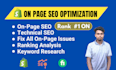 do shopify SEO services for google top ranking