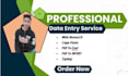 do data entry , copy paste in ms exel or ms world