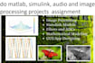 do matlab, simulink, audio and image processing projects  assignment