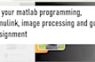 do your matlab programming, simulink, image processing and gui assignment