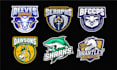 design mascot logo for school, college or sports team