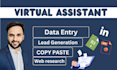 quick data entry and web research