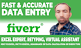 do accurate data entry, data entry and web search