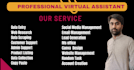 professional virtual assistant business e commerce
