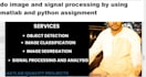 do image and signal processing by using matlab and python assignment