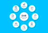 create electronic health records, ehr or emr or pms system and consultant