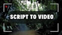 convert script or article into video using stock footages