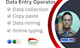 do data entry and copy paste job