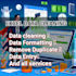precision excel services efficient data entry and management