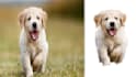 remove background perfectly for photos