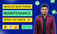 fix, update, optimize, consult wordpress and do website maintenance