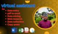 expert in data entry and analysis services
