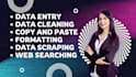 do excel data entry, data cleaning, copy paste, data formatting with best trick