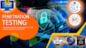do penetration testing provide professional report