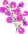 do sequins embroidery digitizing