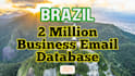 give you 2 million huge brazil business b2b email database
