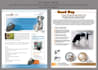 create a presentable sell sheet
