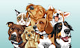 do animals cartoon illustration