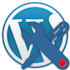 customize wordpress or build new