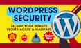 do wordpress security, cyber security, and website security