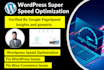 do wordpress super speed optimization for google pagespeed insight and gtmetrix