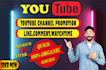 do organic you tube video promotion