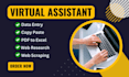do urgent fastest data entry in one day, internet research