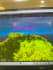 create a basic 3d or 2d game in unity