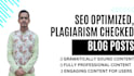 write SEO optimized content for yours blogs