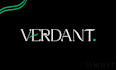 minimalist wordmark logo design