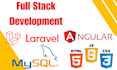 create angular HTML CSS javascript laravel  web application