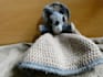 translate amigurumi crochet patterns
