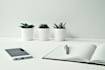 be your beta reader and give perceptive feedback