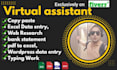do any virtual assistant, data entry and web research job