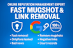 erase negative links, delete mugshots, cases, news articles, blogs from google