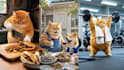 make 10 ai cats and animals shorts videos for youtube automation