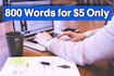 do SEO optimize hindi article wring in 24 to 48 hours