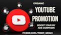 do youtube video promotion using google adds