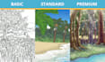 draw beautiful nature illustrations