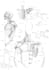 make a medical anatomy illustration for you