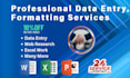 do accurate data entry, excel cleaning, and automation
